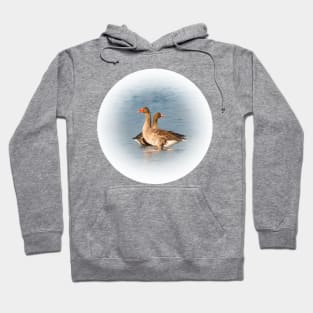 Wild geese Hoodie